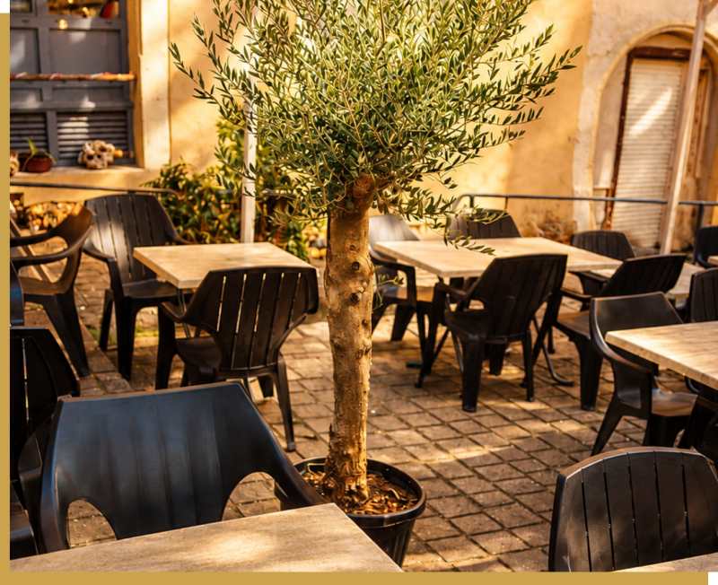 Le Chaudron - restaurant TREVOUX